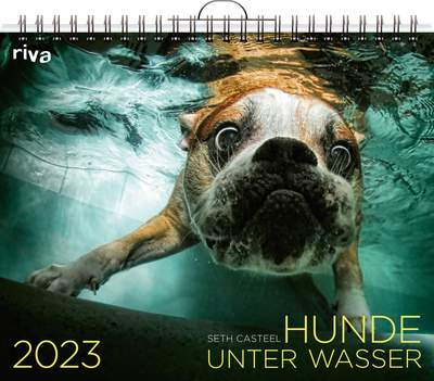 Hunde unter Wasser 2023 - Wandkalender