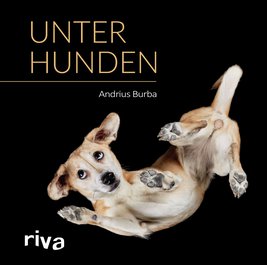 Unter Hunden