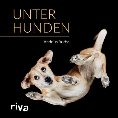 Unter Hunden