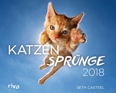 Katzensprünge 2018 - Wandkalender