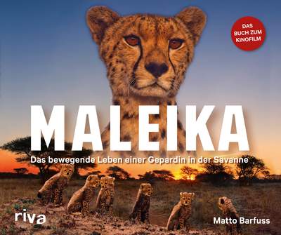 Maleika - Das bewegende Leben einer Gepardin in der Savanne
