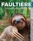 Faultiere