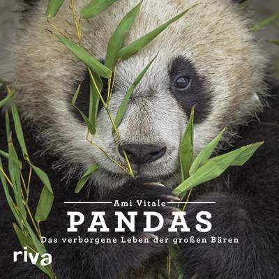 Pandas - Das verborgene Leben der großen Bären