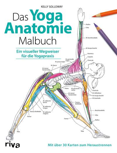 Das Yoga-Anatomie-Malbuch - Ein visueller Wegweiser für die Yogapraxis. Mit über 30 Karten zum Heraustrennen