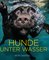 Hunde unter Wasser