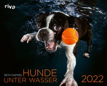 Hunde unter Wasser 2022
