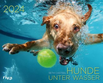 Hunde unter Wasser 2024