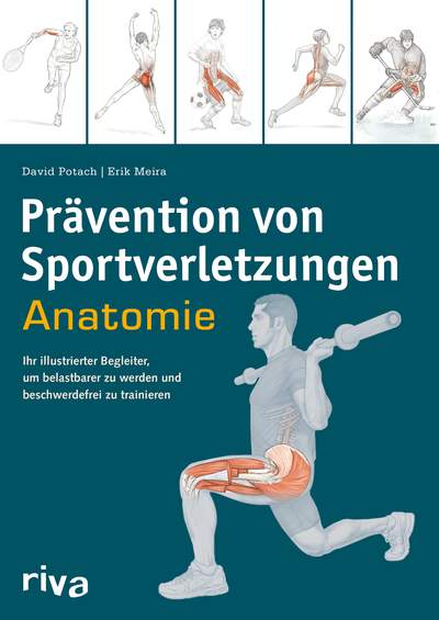 Prävention von Sportverletzungen – Anatomie - Ihr illustrierter Begleiter, um belastbarer zu werden und beschwerdefrei zu trainieren