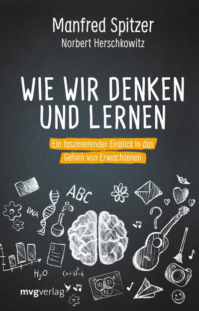 Wie wir denken und lernen - Ein faszinierender Einblick in das Gehirn von Erwachsenen