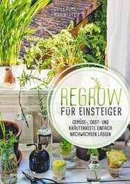 Regrow für Einsteiger