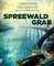 Spreewaldgrab