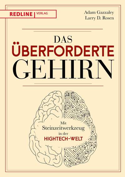 Das überforderte Gehirn - Mit Steinzeitwerkzeug in der Hightech-Welt