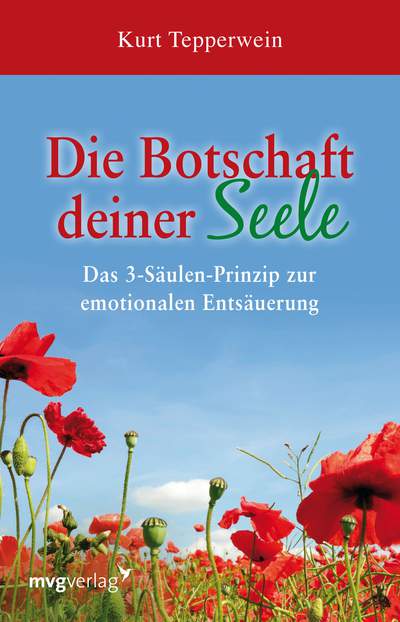 Die Botschaft deiner Seele - Das 3-Säulen-Prinzip der emotionalen Entsäuerung