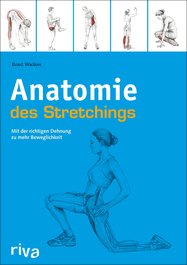 Anatomie des Stretchings