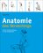 Anatomie des Stretchings