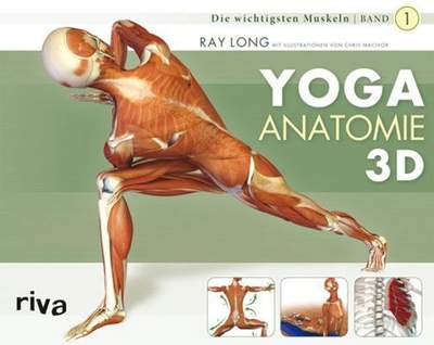 Yoga-Anatomie 3D - Band 1: Die wichtigsten Muskeln