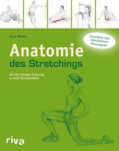 Anatomie des Stretchings - Mit der richtigen Dehnung zu mehr Beweglichkeit