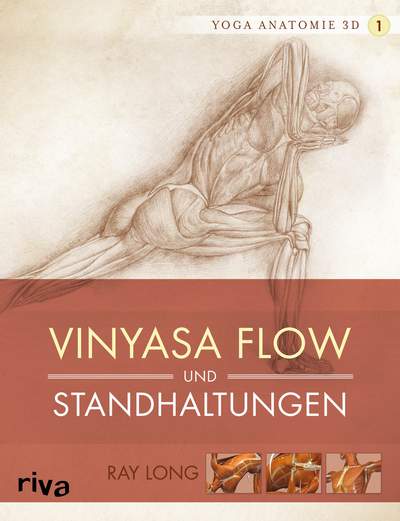 Yoga-Anatomie 3D - Vinyasa Flow und Standhaltungen