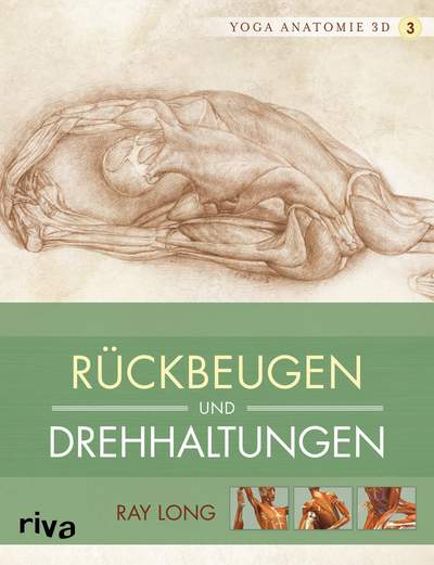 Yoga-Anatomie 3D - Rückbeugen und Drehhaltungen