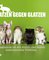 Katzen gegen Glatzen