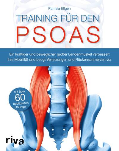 Training für den Psoas - Ein kräftiger und beweglicher großer Lendenmuskel verbessert Ihre Mobilität und beugt Verletzungen und Rückenschmerzen vor