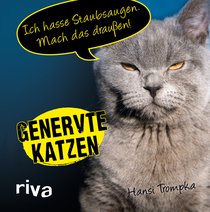 Genervte Katzen