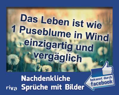 Download Sprueche wind lustig Free HD