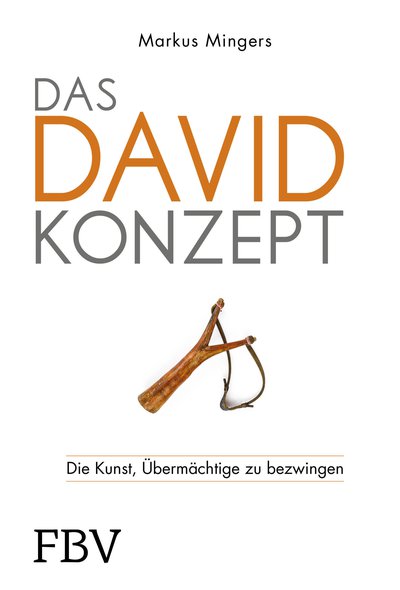 Das David-Konzept - Die Kunst, Übermächtige zu bezwingen