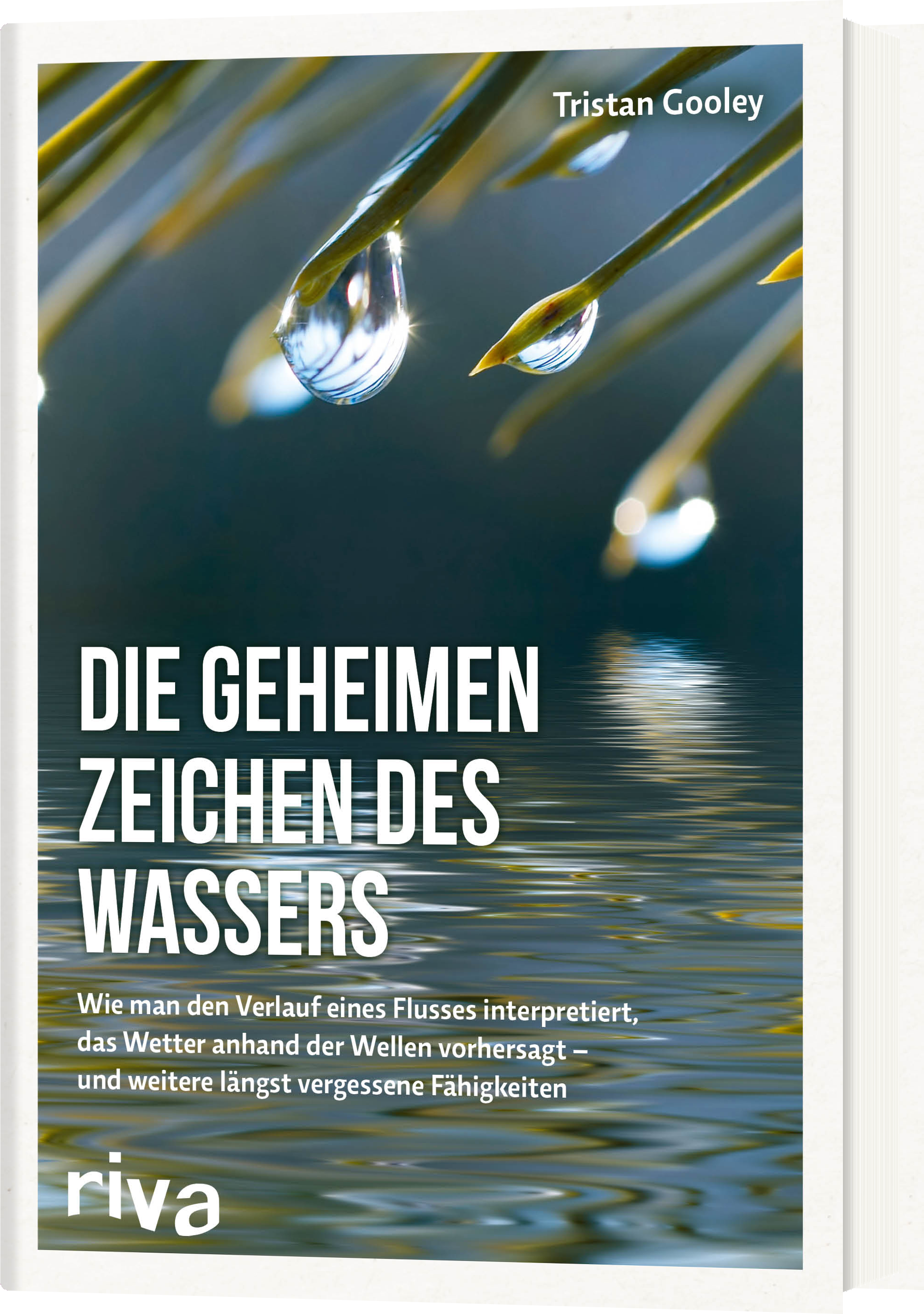 Die geheimen Zeichen des Wassers - Wie man den Verlauf eines