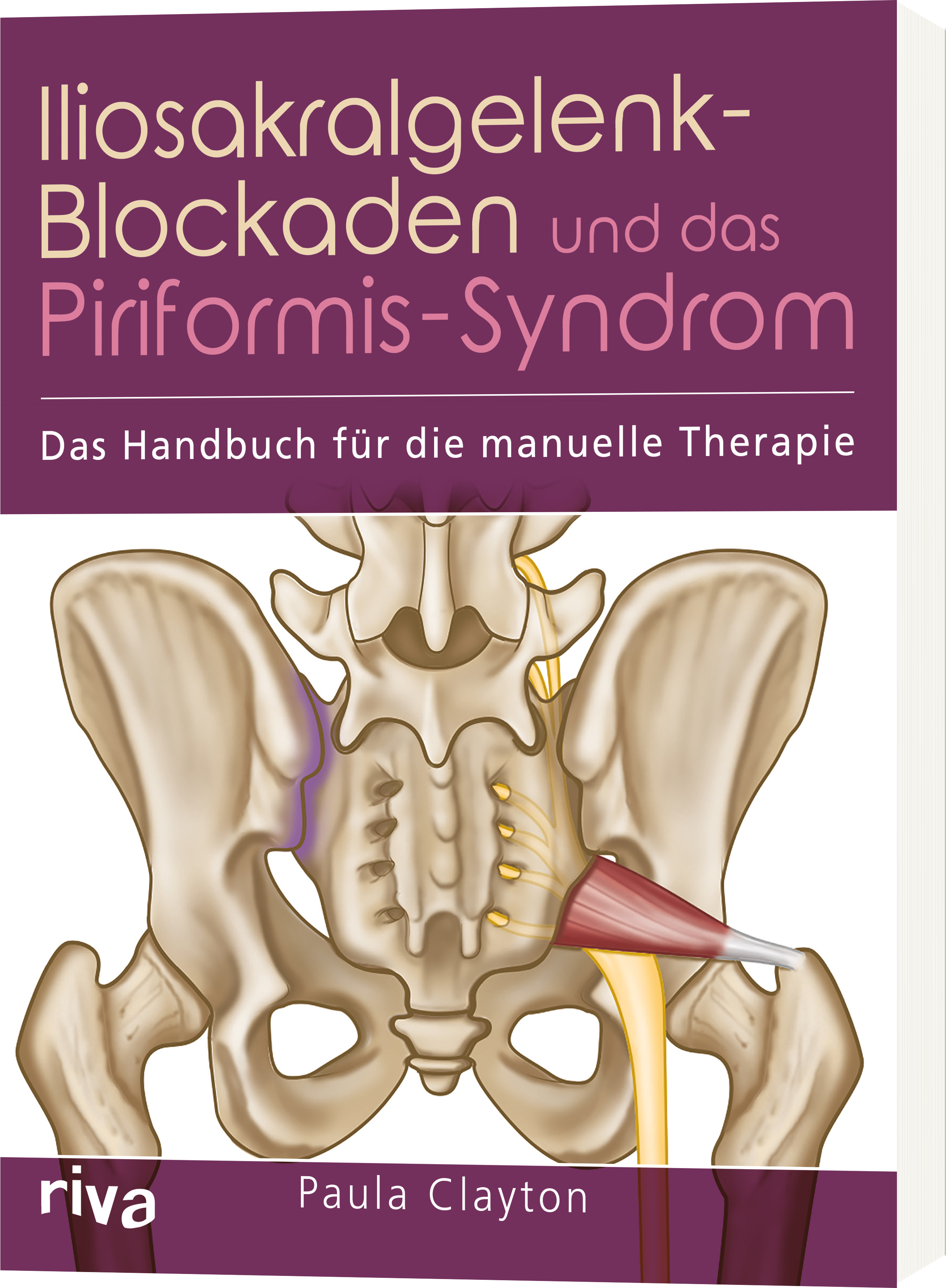 Iliosakralgelenk-Blockaden und das Piriformis-Syndrom - Das Handbuch für die manuelle Therapie