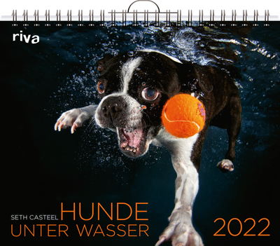 Hunde unter Wasser 2022 - Wandkalender