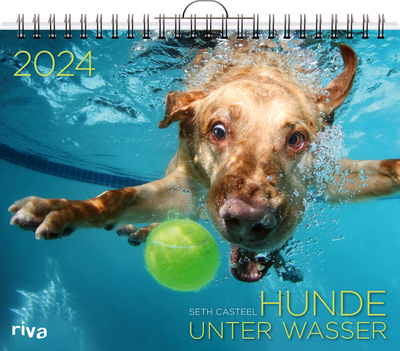 Hunde unter Wasser 2024 - Wandkalender