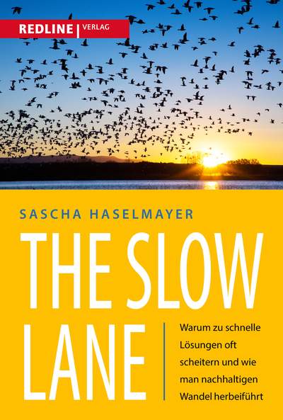 The Slow Lane - Warum zu schnelle Lösungen oft scheitern und wie man nachhaltigen Wandel herbeiführt