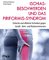 Ischiasbeschwerden und das Piriformis-Syndrom