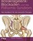 Iliosakralgelenk-Blockaden und das Piriformis-Syndrom