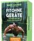 Fit ohne Geräte – Kartenset