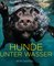 Hunde unter Wasser