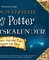 Der inoffizielle Harry-Potter-Adventskalender