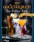 Das Cocktailbuch für Potter-Fans