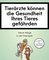 Tierärzte können die Gesundheit Ihres Tieres gefährden