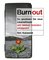 Burnout