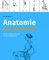 Anatomie des Stretchings