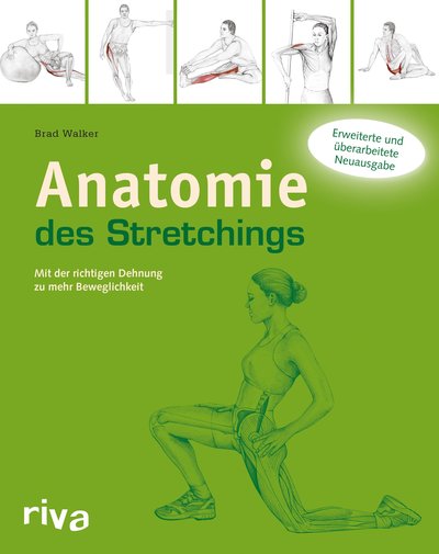 Anatomie des Stretchings - Mit der richtigen Dehnung zu mehr Beweglichkeit