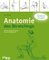 Anatomie des Stretchings