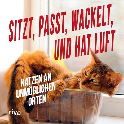 Sitzt, passt, wackelt und hat Luft - Katzen an unmöglichen Orten