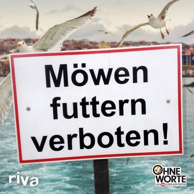 Möwen futtern verboten - 1414 — Die lustigsten "Ohne-Worte"-Fotos der BILD-Leser-Reporter