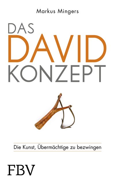 Das David-Konzept - Die Kunst, Übermächtige zu bezwingen