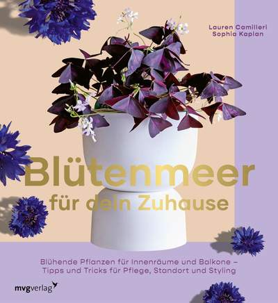 Blütenmeer für dein Zuhause - Blühende Pflanzen für Innenräume und Balkone – Tipps und Tricks für Pflege, Standort und Styling
